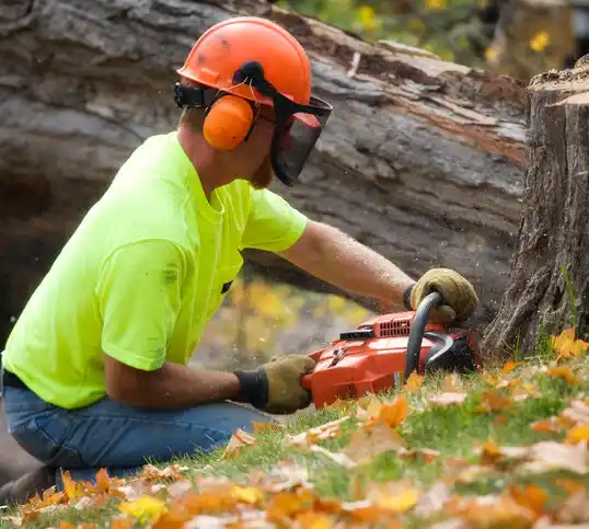 tree services Bonner-West Riverside